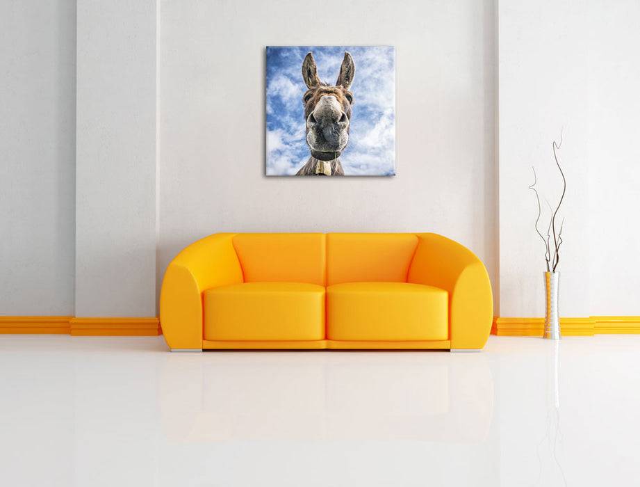 Pixxprint Lustiger Esel, Leinwandbild Online