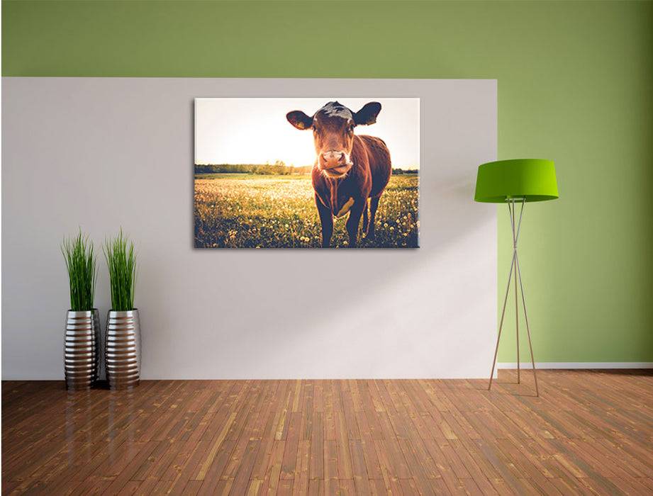 Pixxprint Kuh auf Blumenwiese, Leinwandbild Outlet