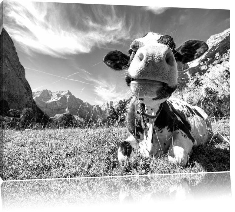 Pixxprint Kuh im Karwendelgebirge Kunst B&W, Leinwandbild