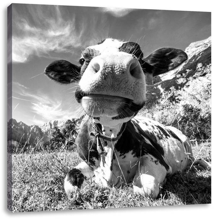 Pixxprint Kuh im Karwendelgebirge Kunst B&W, Leinwandbild im Angebot