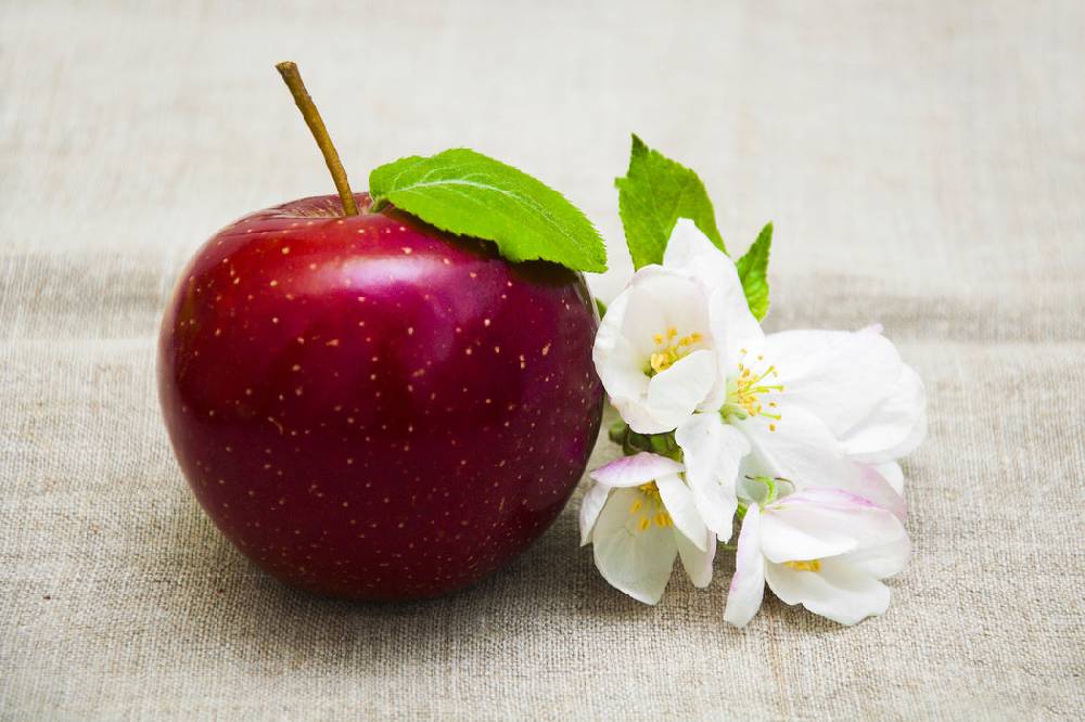 Pixxprint Knackiger roter Apfel, Glasbild Wochenangebot