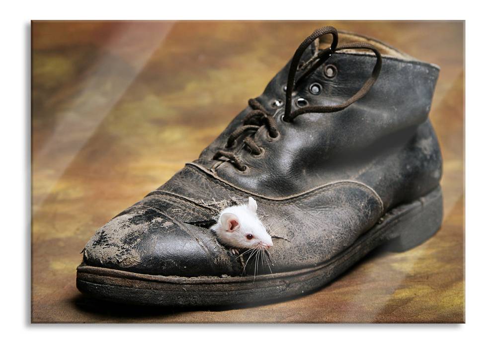 Pixxprint Maus in schwarzem Schuh, Glasbild