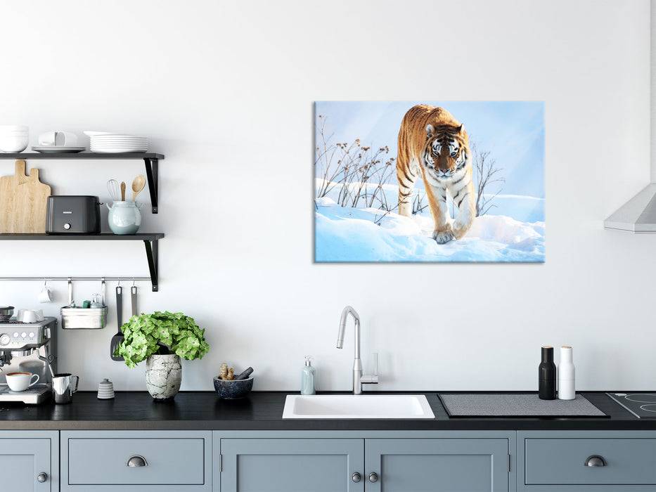 Pixxprint Stolzer Tiger im Schnee, Glasbild Sonderangebot der Fabrik