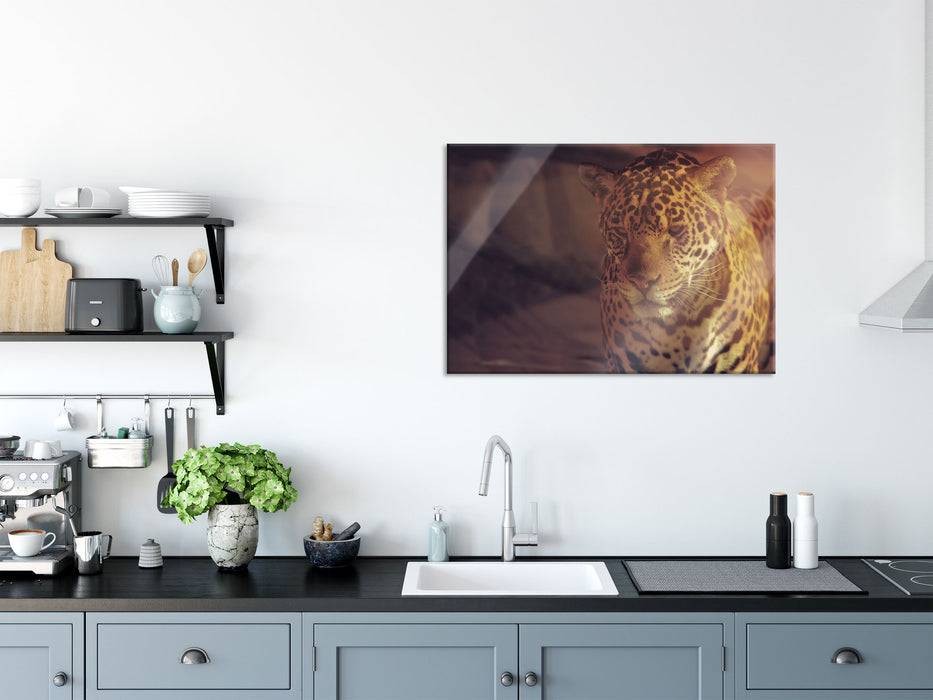 Pixxprint Anmutiger Leopard, Glasbild Nur noch ein Tag übrig