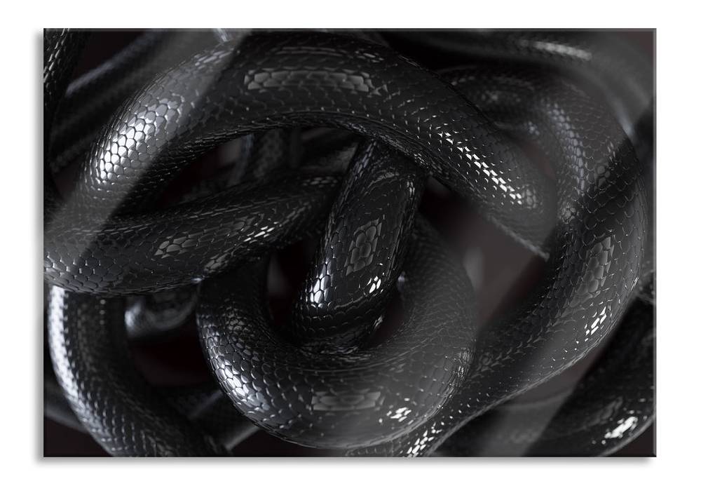 Pixxprint Schwarze elegante Schlange, Glasbild