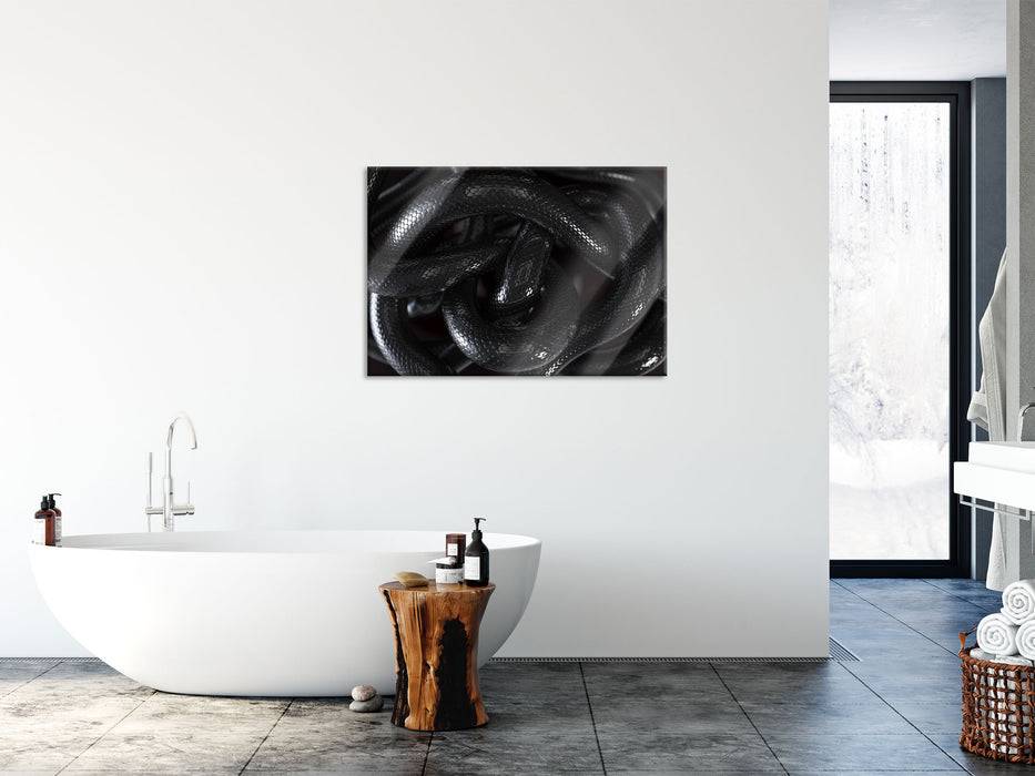 Pixxprint Schwarze elegante Schlange, Glasbild Super Rabatt