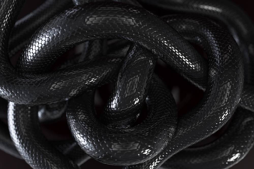 Pixxprint Schwarze elegante Schlange, Glasbild Super Rabatt