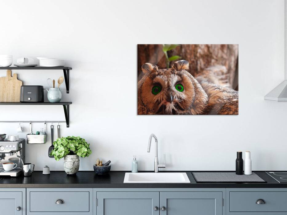 Pixxprint Wachsame Eule, Glasbild 50% Rabatt mit kostenlosem Versand