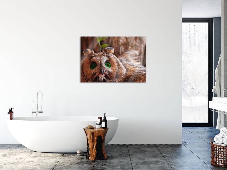 Pixxprint Wachsame Eule, Glasbild 50% Rabatt mit kostenlosem Versand