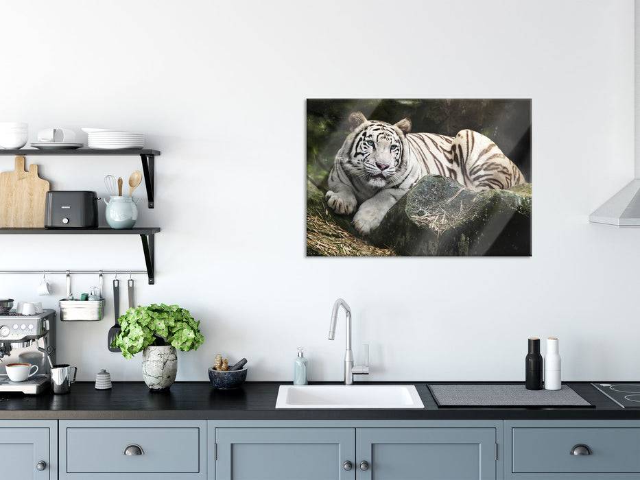 Pixxprint Stolzer weisser Tiger, Glasbild Clearance-Verkauf