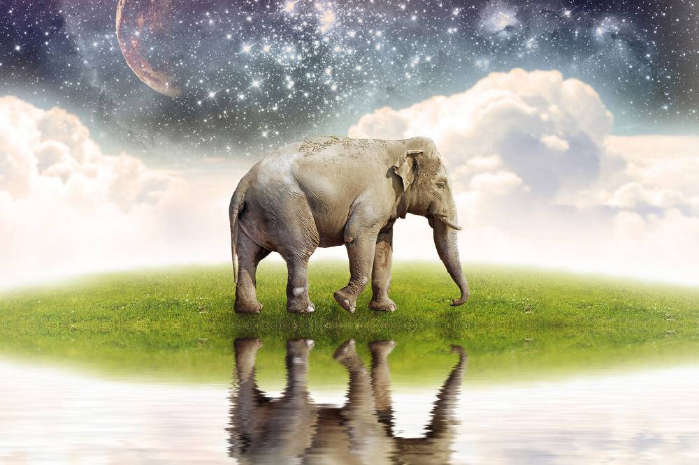 Pixxprint Einsamer Elefant Sternenhimmel, Glasbild Kostenloser Versand international