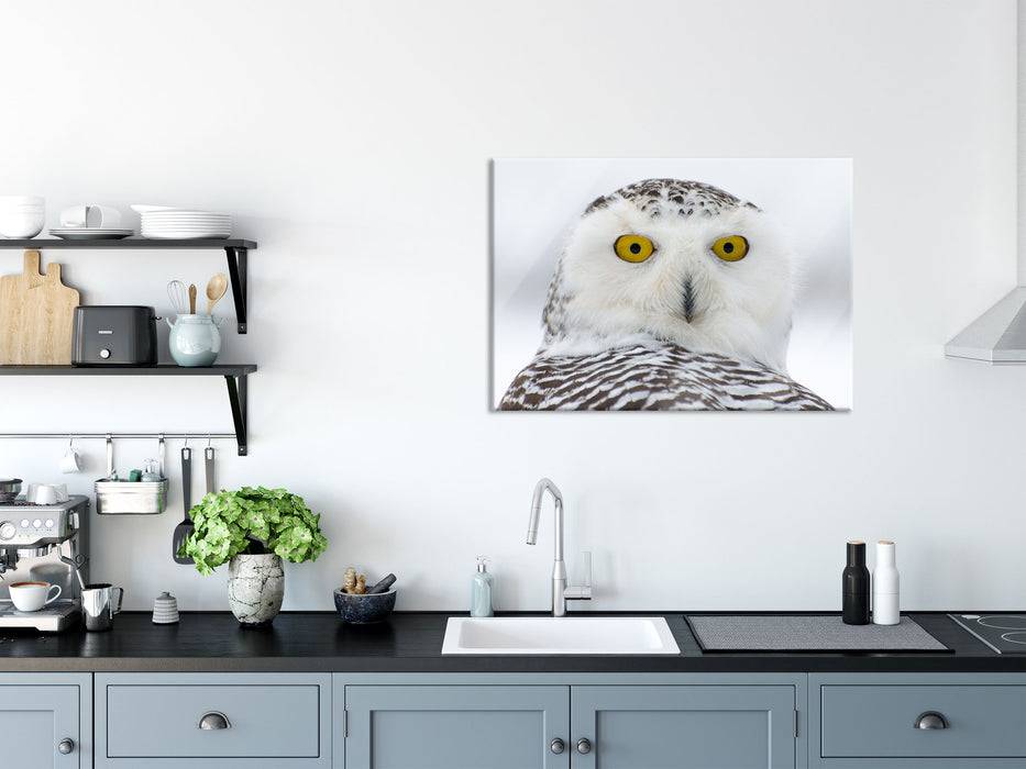 Pixxprint Wachsame Schnee Eule, Glasbild Neueste Mode