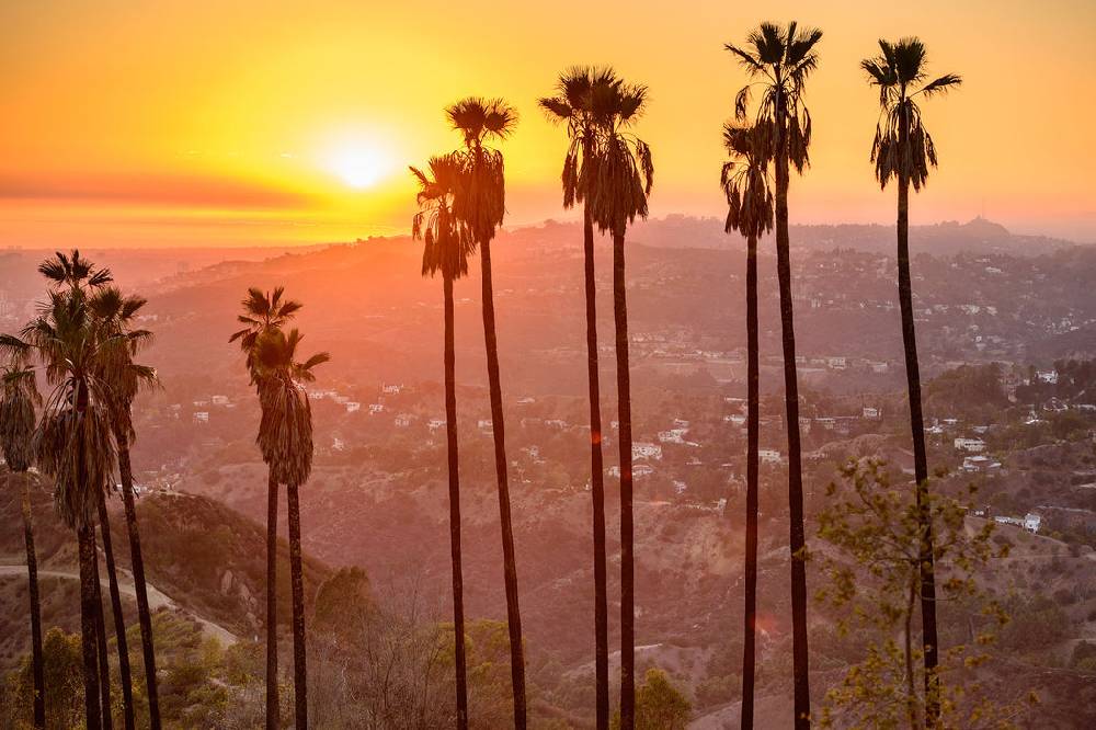 Pixxprint Blick auf Hollywood, Glasbild Online Outlet
