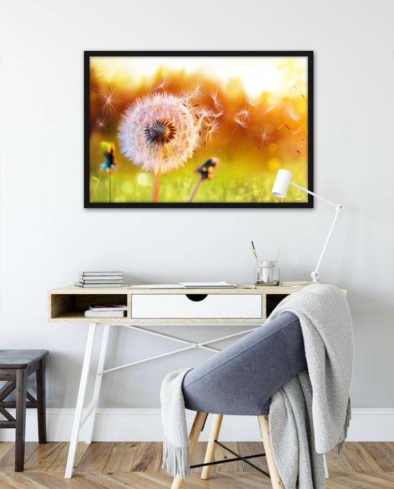 Pixxprint Nahaufnahme Pusteblume Sonnenuntergang, Poster mit Bilderrahmen Räumungsverkauf