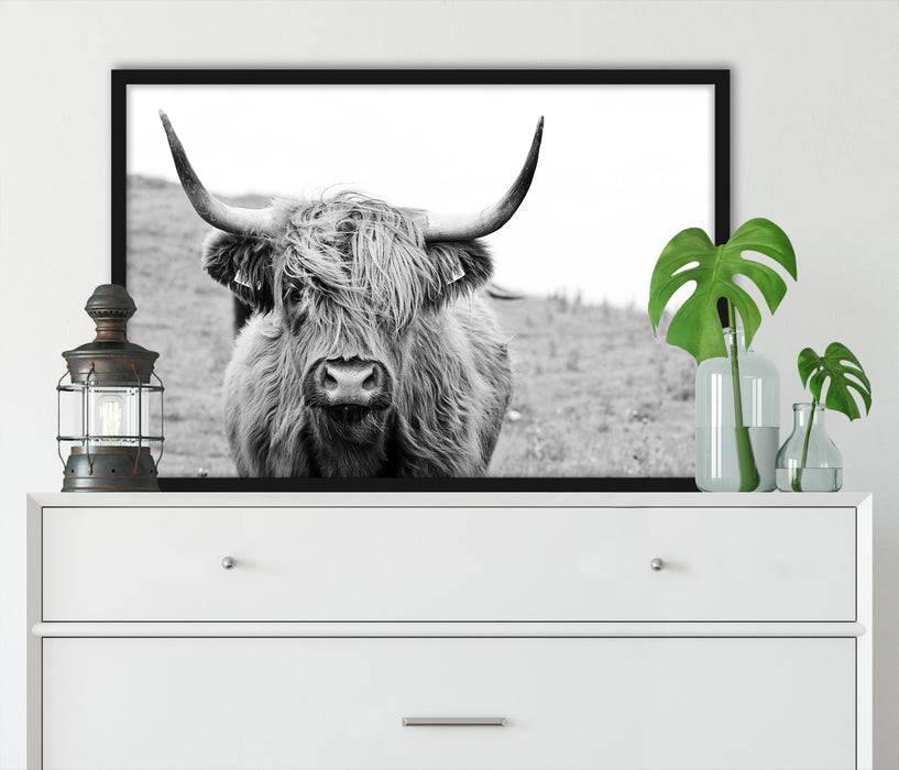 Pixxprint Highlandrind frontal in Schwarz-Weiss, Poster mit Bilderrahmen Wochenangebot