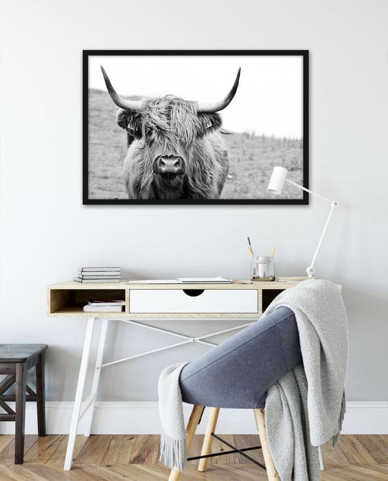 Pixxprint Highlandrind frontal in Schwarz-Weiss, Poster mit Bilderrahmen Wochenangebot