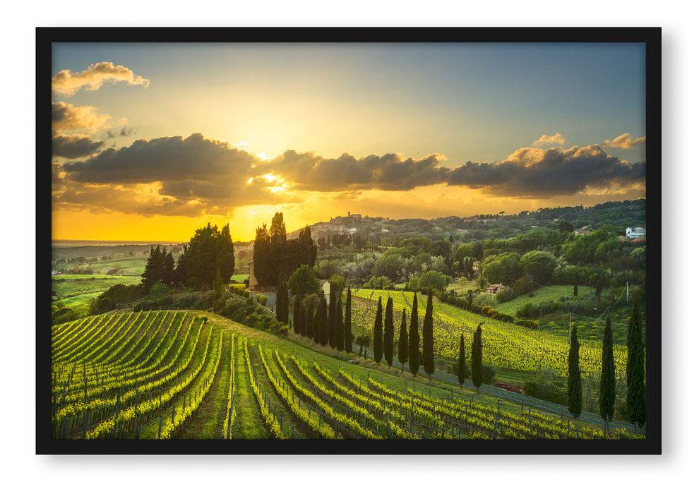 Pixxprint Malerische Weinberge in der Toskana, Poster mit Bilderrahmen