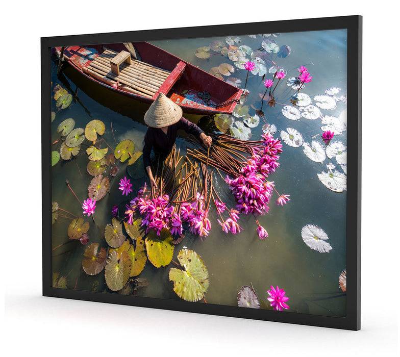 Pixxprint Wasserlilienernte mit Boot in Vietnam, Poster mit Bilderrahmen Letzte 2 Tage