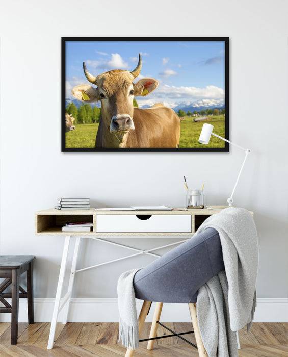 Pixxprint Neugierige Kuh auf Weide im Allgäu, Poster mit Bilderrahmen Bis zu 60% Rabatt