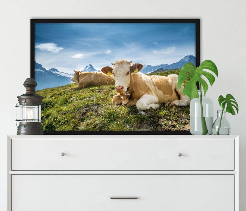 Pixxprint Simmentaler Kühe vor Schweizer Alpen, Poster mit Bilderrahmen Bis zu 65% Rabatt