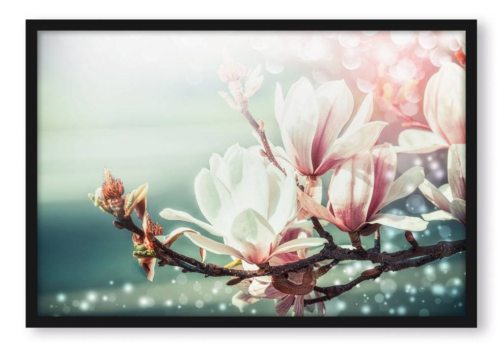 Pixxprint Wunderschöne Magnolien Nahaufnahme, Poster mit Bilderrahmen Discount Store für neue Produkte