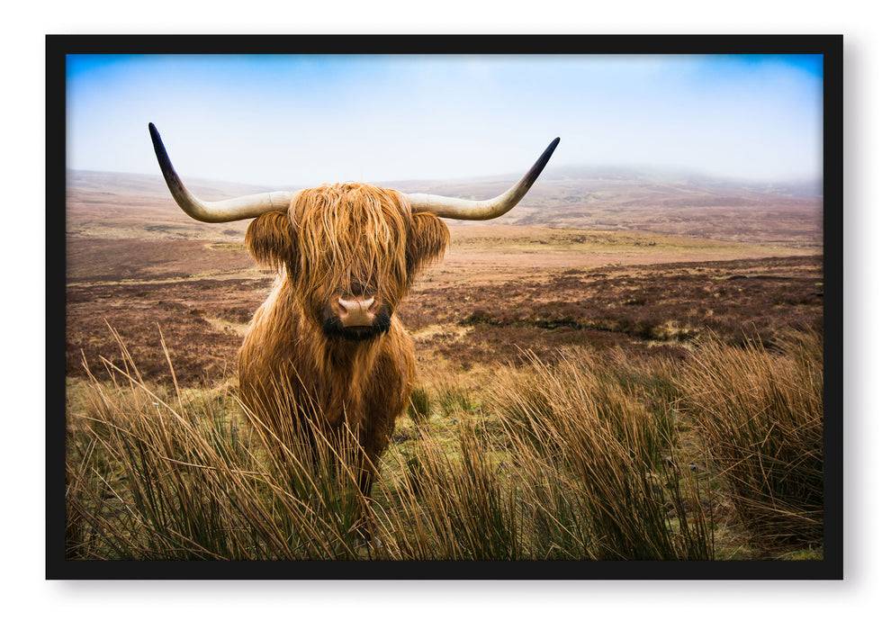 Pixxprint Highland Rind mit großen Hörnern Steppe, Poster mit Bilderrahmen Begrenzt auf 3 Tage