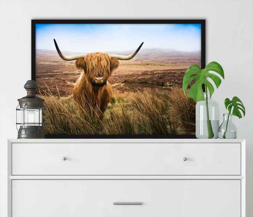 Pixxprint Highland Rind mit großen Hörnern Steppe, Poster mit Bilderrahmen Begrenzt auf 3 Tage