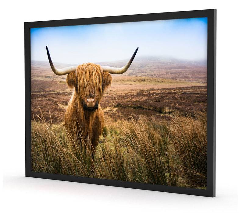 Pixxprint Highland Rind mit großen Hörnern Steppe, Poster mit Bilderrahmen Begrenzt auf 3 Tage