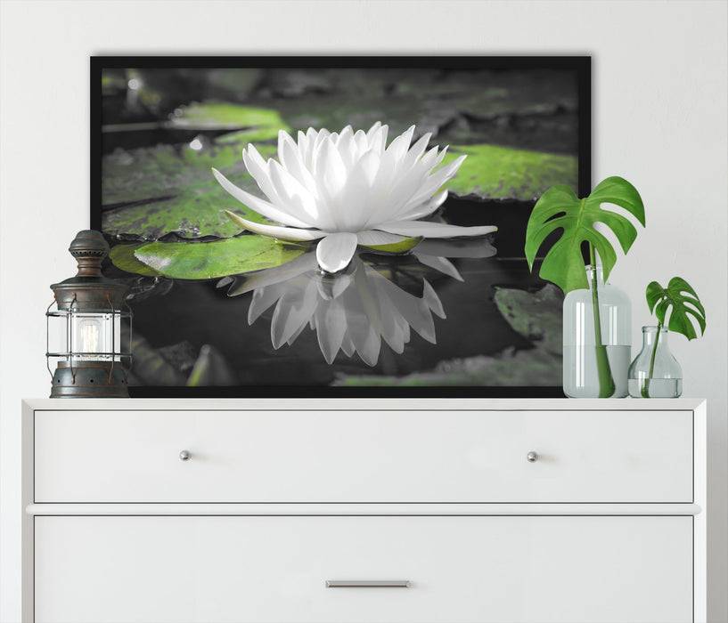 Pixxprint Weiße Lotusblume im Wasser, Poster mit Bilderrahmen Speichern exportieren