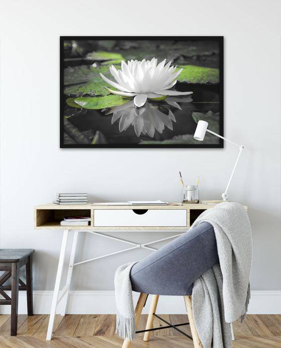 Pixxprint Weiße Lotusblume im Wasser, Poster mit Bilderrahmen Speichern exportieren