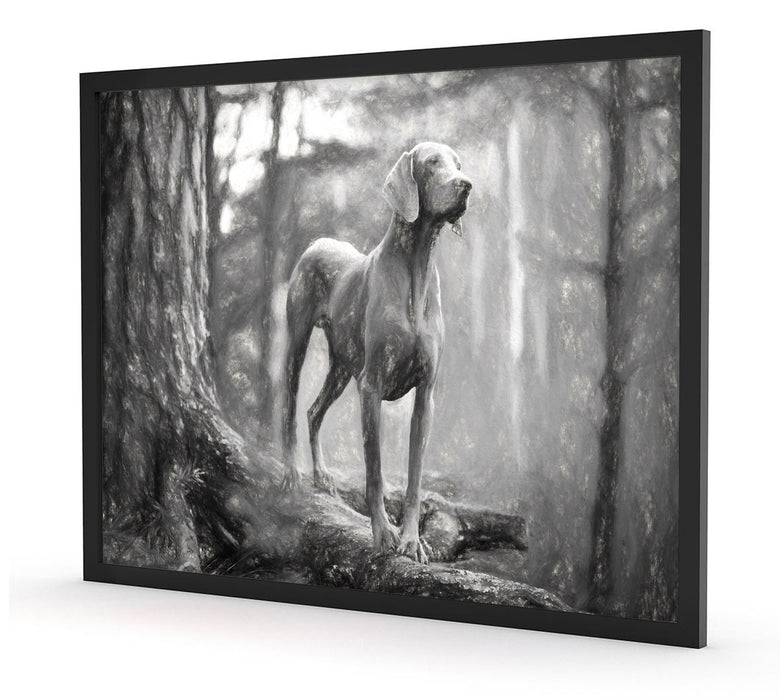 Pixxprint Hund auf Baumwurzeln, Poster mit Bilderrahmen Angebote