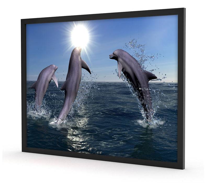 Pixxprint springende Delphine, Poster mit Bilderrahmen Begrenztes Angebot