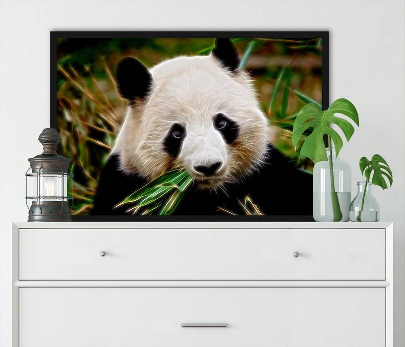 Pixxprint Kuscheliger Panda frisst Bambus, Poster mit Bilderrahmen Exklusivangebot