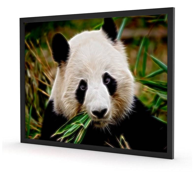 Pixxprint Kuscheliger Panda frisst Bambus, Poster mit Bilderrahmen Exklusivangebot