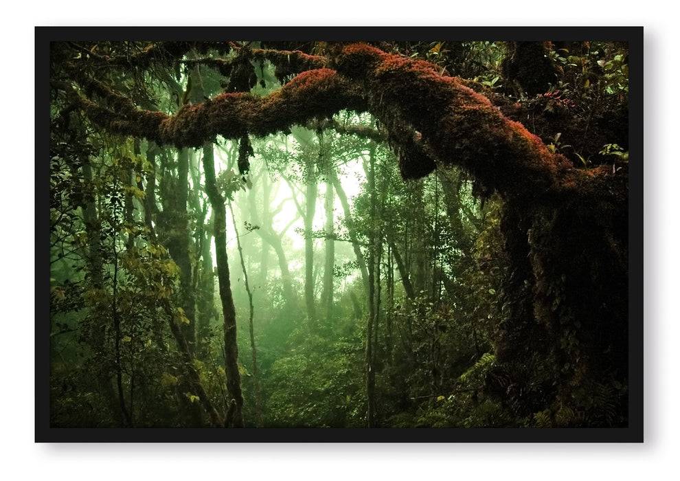 Pixxprint Geheimnisvoller Regenwald, Poster mit Bilderrahmen