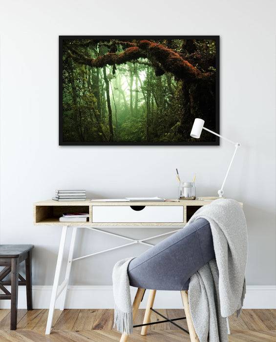 Pixxprint Geheimnisvoller Regenwald, Poster mit Bilderrahmen Saisonschlussverkauf