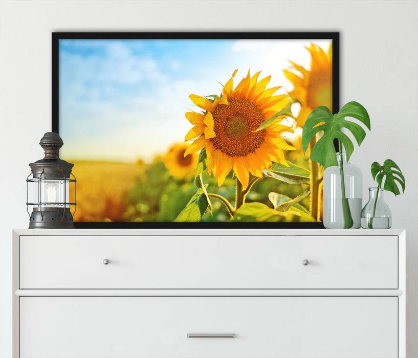 Pixxprint Strahlendes Sonnenblumenfeld, Poster mit Bilderrahmen Cyber Monday