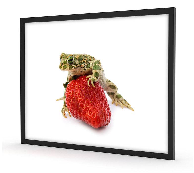 Pixxprint Kleiner Frosch sitzt auf Erdbeere, Poster mit Bilderrahmen Blitzangebot