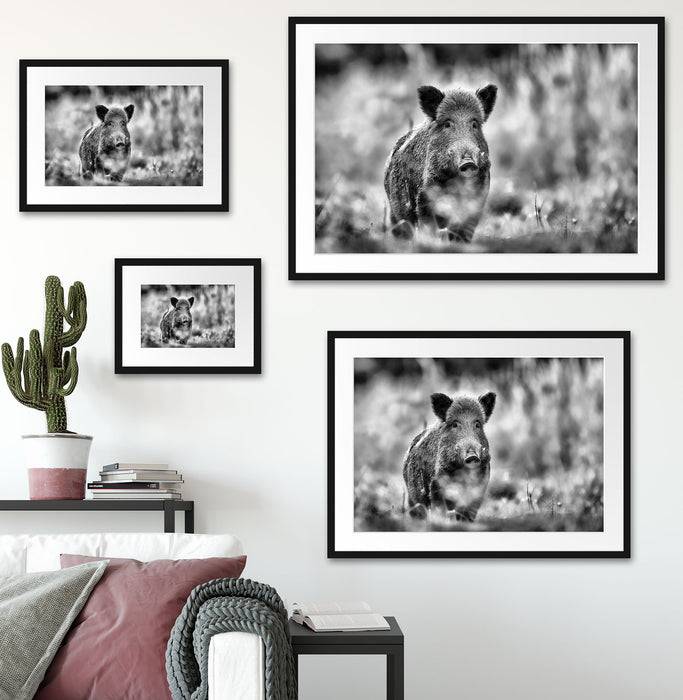 Pixxprint Stolzes Wildschwein im Wald, im Galerie-Passepartout Bilderrahmen Sonderangebote
