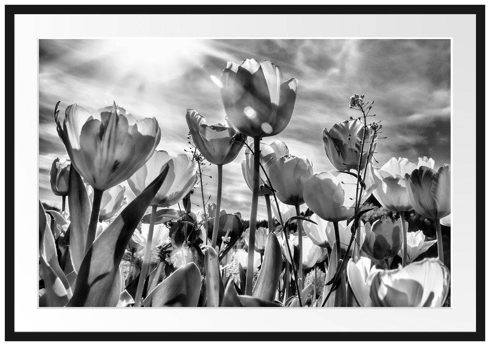 Pixxprint Blumenwiese, im Galerie-Passepartout Bilderrahmen