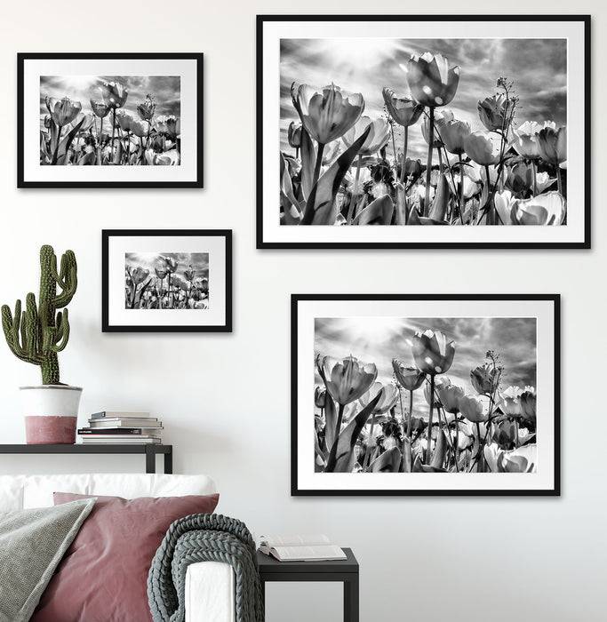 Pixxprint Blumenwiese, im Galerie-Passepartout Bilderrahmen VIP-Rabatte
