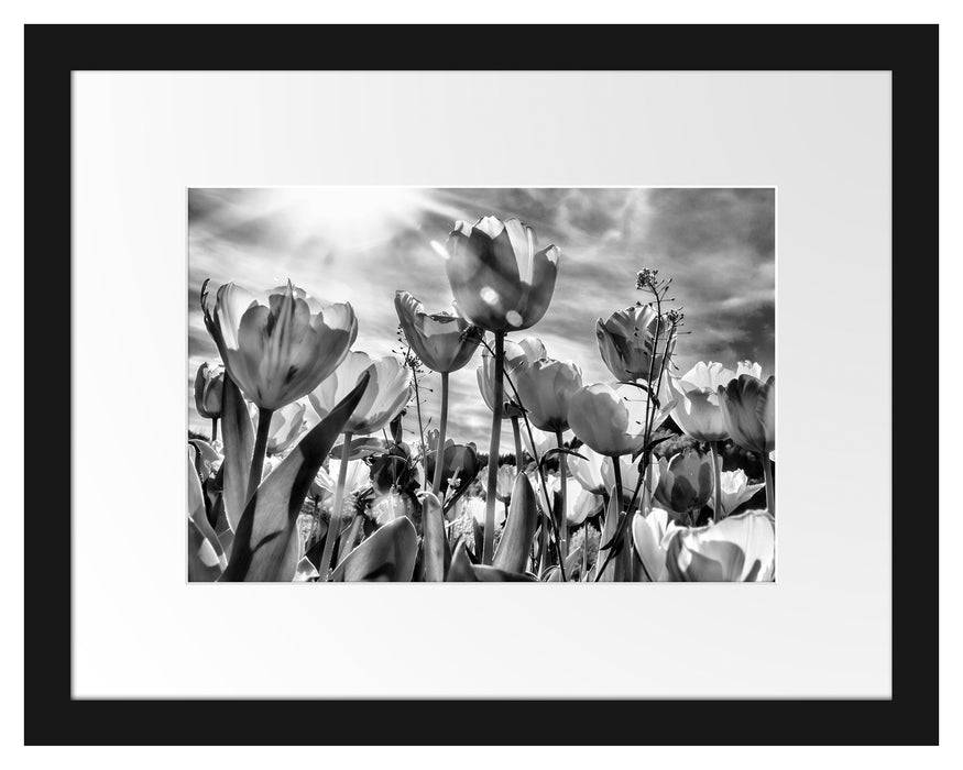 Pixxprint Blumenwiese, im Galerie-Passepartout Bilderrahmen VIP-Rabatte