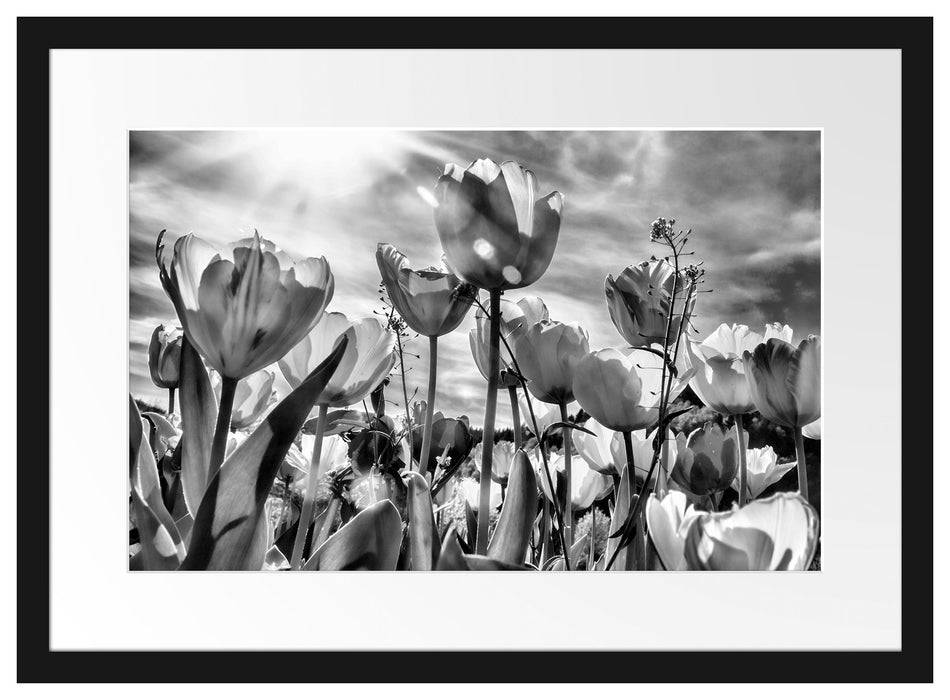 Pixxprint Blumenwiese, im Galerie-Passepartout Bilderrahmen VIP-Rabatte