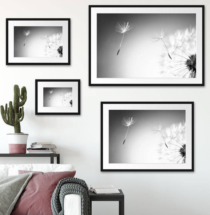Pixxprint Löwenzahn Pusteblume, im Galerie-Passepartout Bilderrahmen Wochenangebot