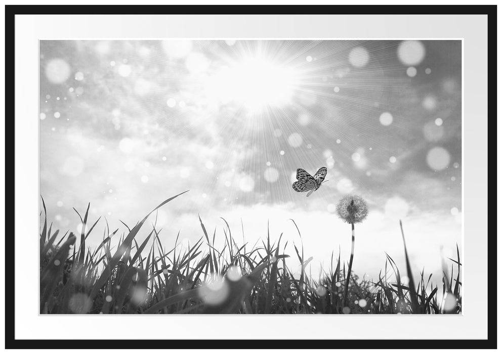 Pixxprint Schmetterling fliegt zu Pusteblume, im Galerie-Passepartout Bilderrahmen Kostenlose Rückgabe