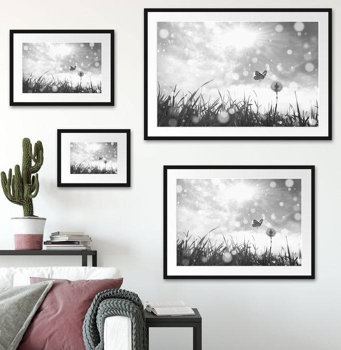 Pixxprint Schmetterling fliegt zu Pusteblume, im Galerie-Passepartout Bilderrahmen Kostenlose Rückgabe