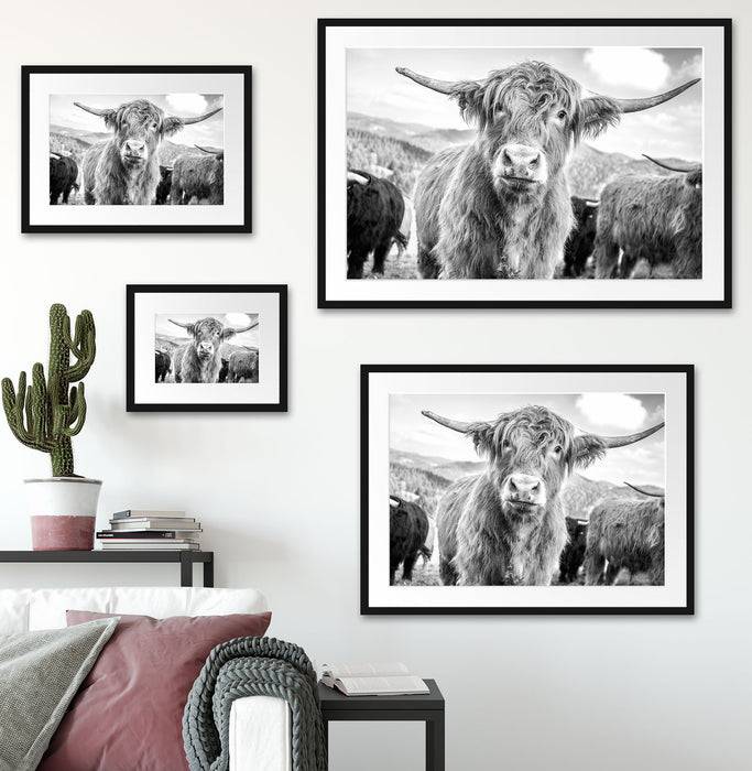 Pixxprint Blick einer Kuh an der Weide, im Galerie-Passepartout Bilderrahmen JETZT KAUFEN