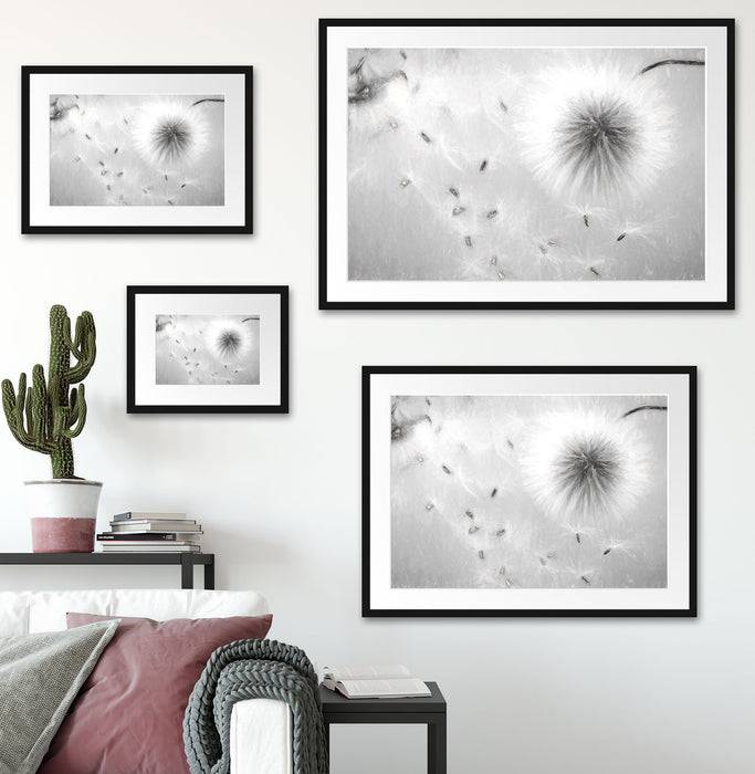 Pixxprint Pusteblumen in Bewegung Kunst, im Galerie-Passepartout Bilderrahmen Letzte 2 Tage