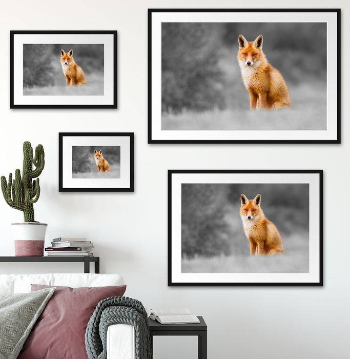 Pixxprint prachtvoller Fuchs, im Galerie-Passepartout Bilderrahmen Zeitbegrenzte Promotion