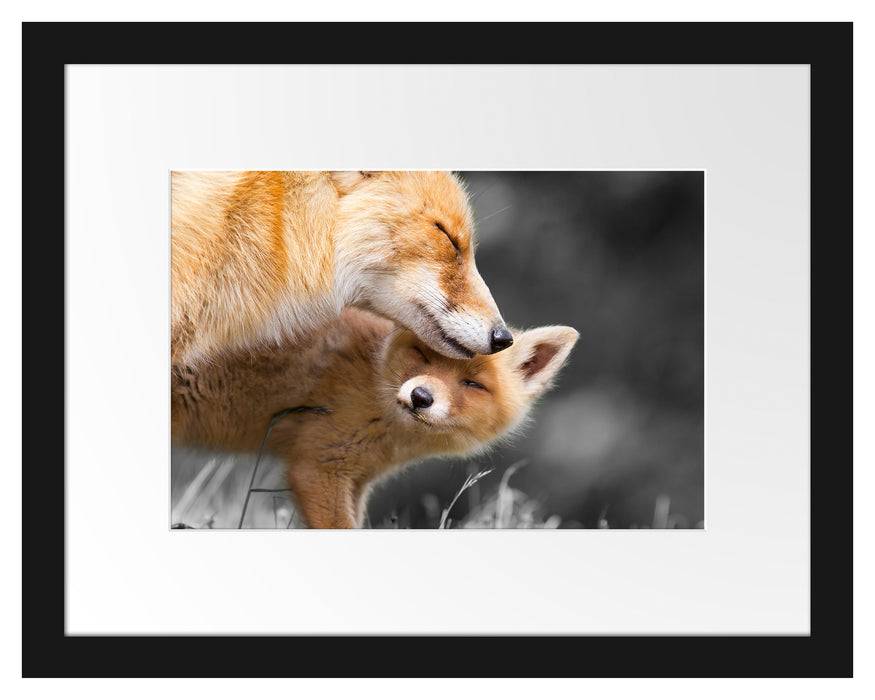 Pixxprint süße kuschelnden Füchse, im Galerie-Passepartout Bilderrahmen Bis zu 65% Rabatt